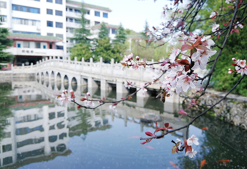 IMG_20180304_145646x