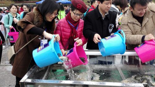 26861_500x500 26861_500x500