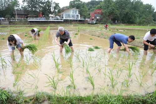 安博站官网登录入口_安博(中国)积极推动大中小学“五育并举”一体化
