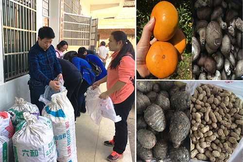 47639_500x500 47639_500x500