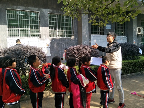 34882_500x500 34882_500x500