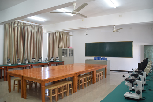 金相实验室 金相实验室