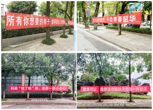 DSC_0775_副本_副本 DSC_0775_副本_副本